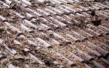 Kilmany roof cleaning companies
