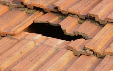 roof repair Kilmany, Fife