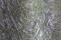 Kilmany fibreglass roof work
